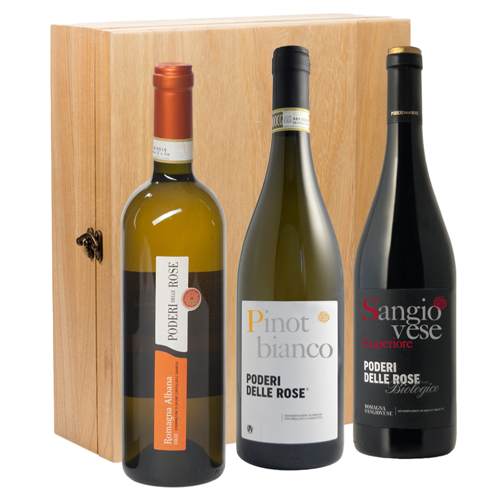 Wijncadeau Cantine intesa 3x75cl