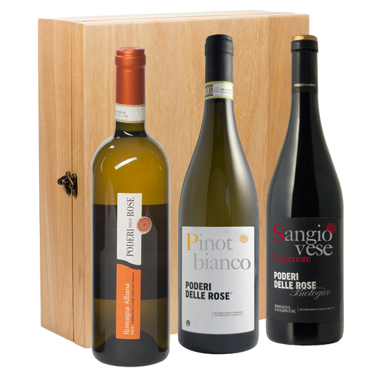 Wijncadeau Cantine intesa 3x75cl