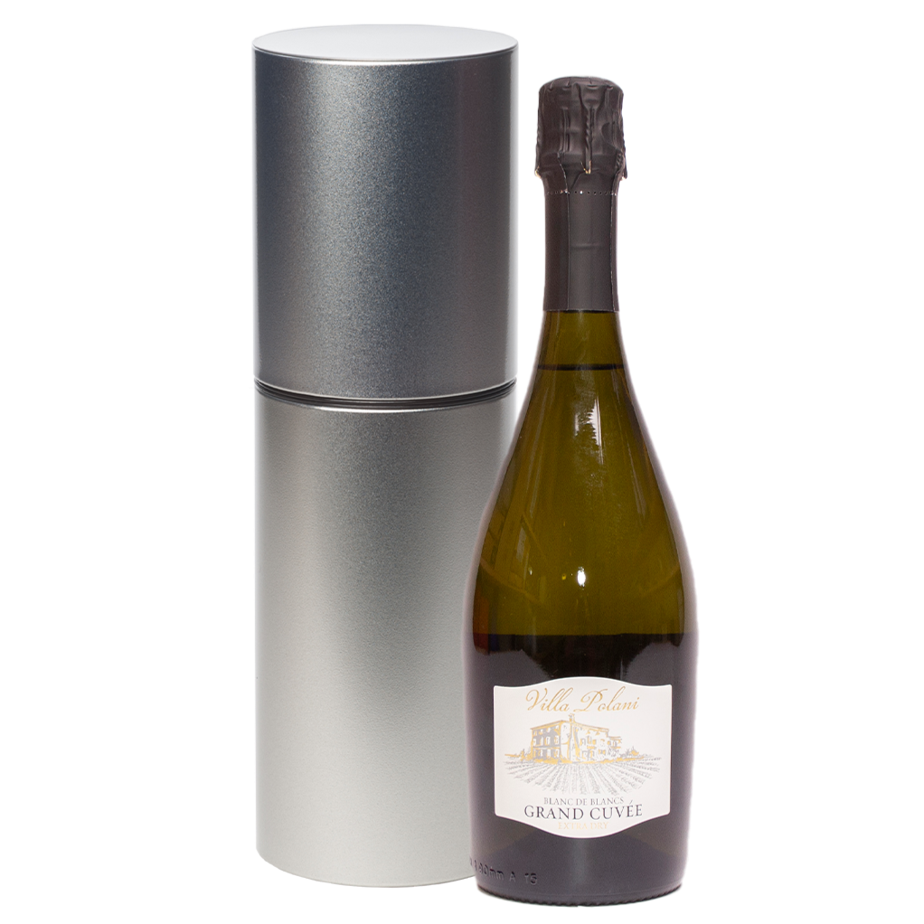 Wijncadeau Villa Polani met wijnkoker 1-vak champagne