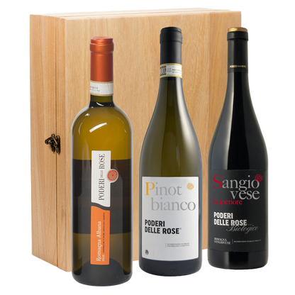 Wijncadeau Cantine intesa 3x75cl
